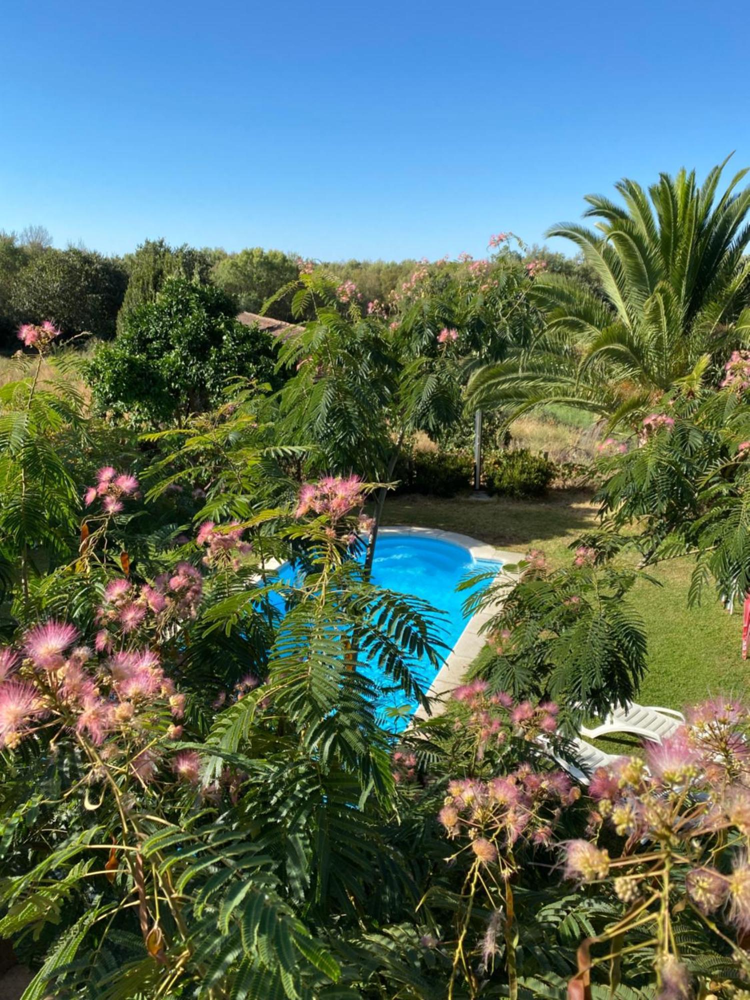 Higueras Y Olivos Villa Candeleda Kültér fotó