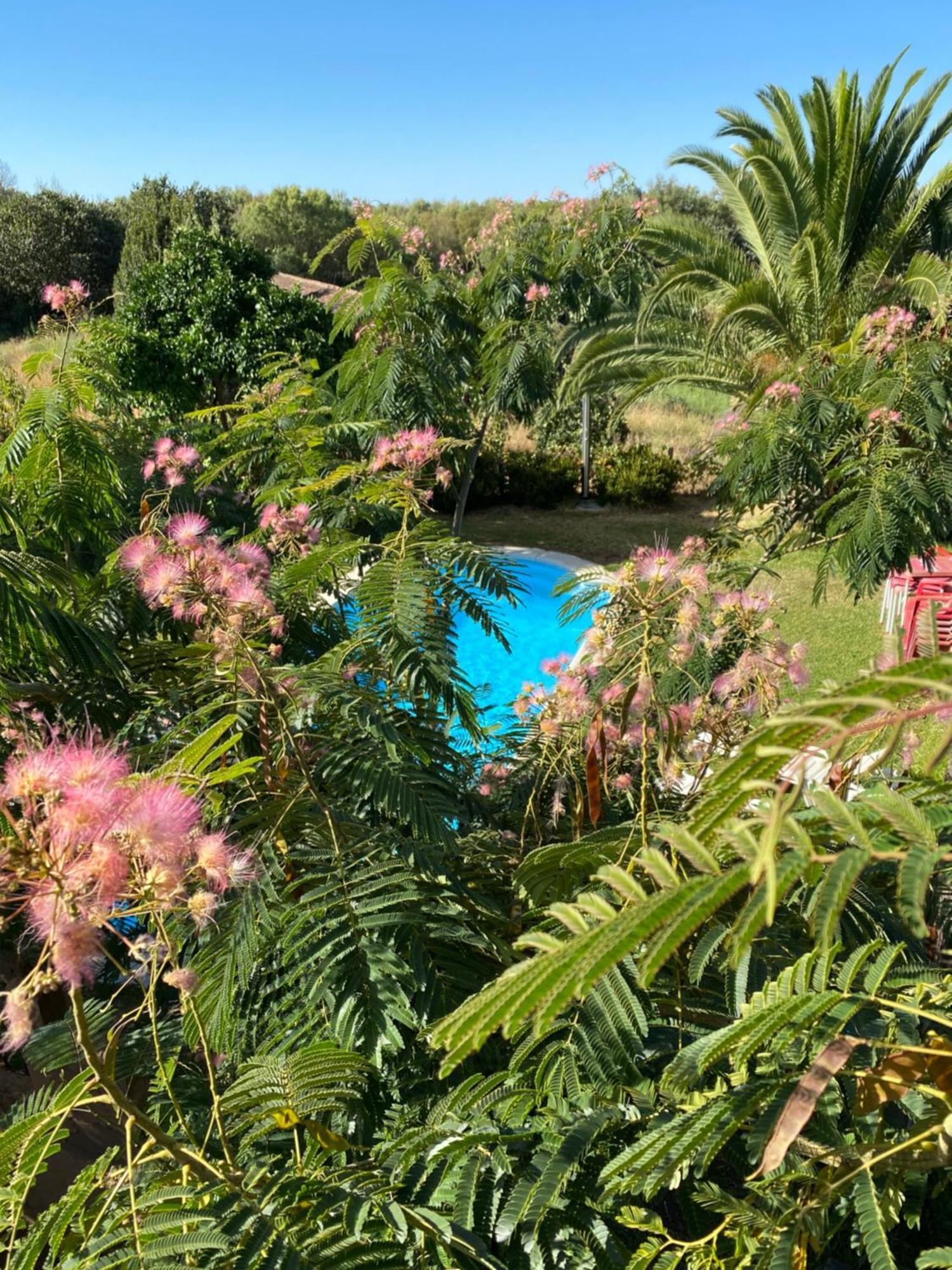 Higueras Y Olivos Villa Candeleda Kültér fotó